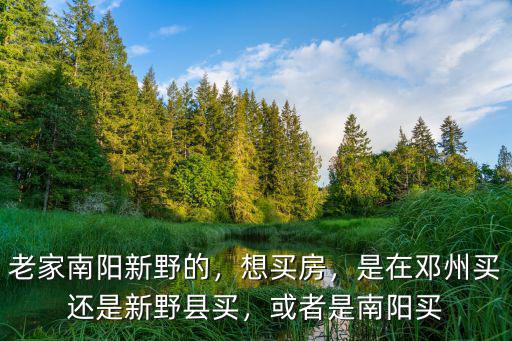 老家南陽新野的，想買房，是在鄧州買還是新野縣買，或者是南陽買