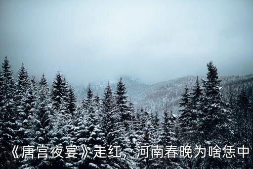 《唐宮夜宴》走紅，河南春晚為啥恁中