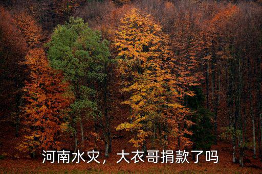 河南水災(zāi)，大衣哥捐款了嗎
