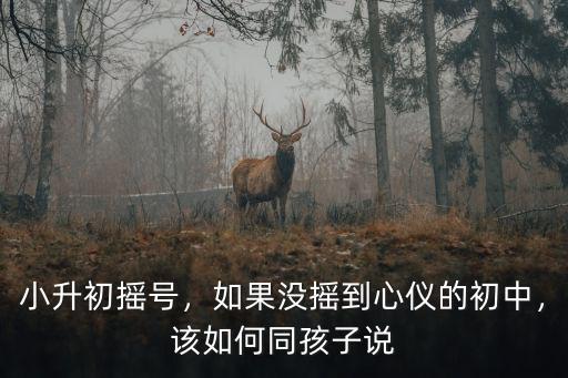 河南固始怎么搖號上初中,孩子初中上學搖號沒搖上