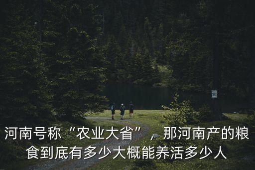 河南省有多少的耕地,那河南產的糧食到底有多少