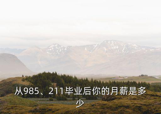 從985、211畢業后你的月薪是多少