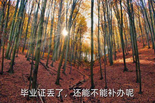 鄭州畢業證丟失怎么補辦,畢業證找不到了怎么補辦