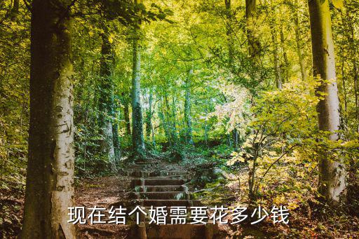 現在結個婚需要花多少錢