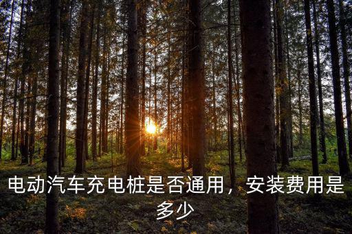 安陽直流汽車充電樁怎么收費,充電樁安裝費用多少錢