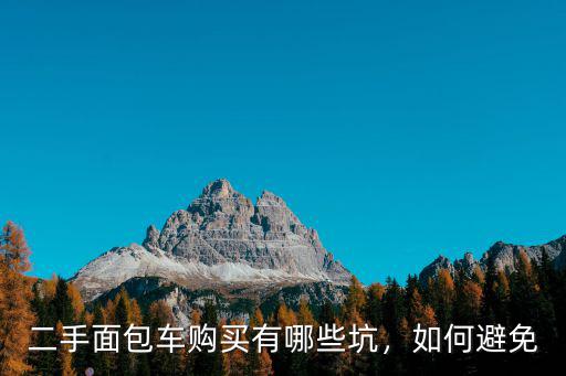 二手面包車購買有哪些坑，如何避免