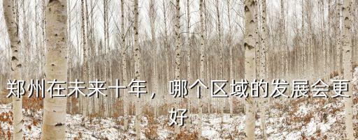 鄭州在未來十年，哪個區域的發展會更好