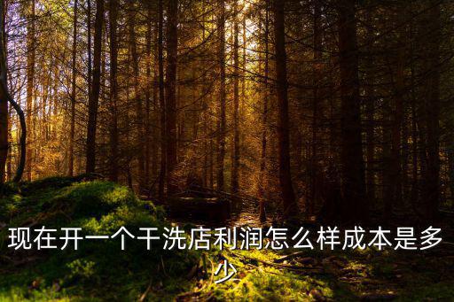 現在開一個干洗店利潤怎么樣成本是多少
