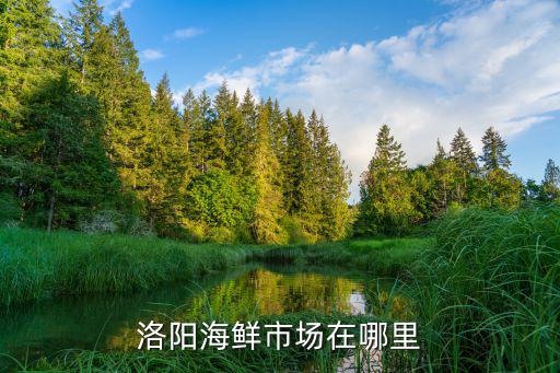 洛陽海鮮市場在哪里