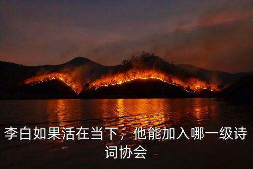 駐馬店詩(shī)詞協(xié)會(huì)怎么加入,加入過詩(shī)詞協(xié)會(huì)的人