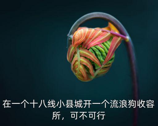 焦作地區哪里有流浪狗收容所,焦作哪里可以領養狗狗