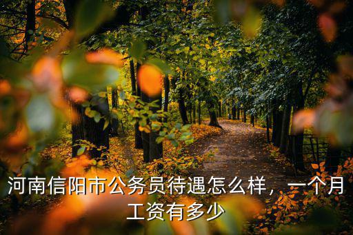 河南縣局選調生待遇怎么樣,河南信陽市公務員待遇怎么樣
