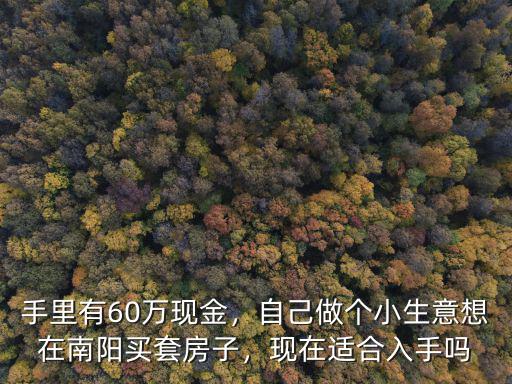 手里有60萬現(xiàn)金，自己做個小生意想在南陽買套房子，現(xiàn)在適合入手嗎