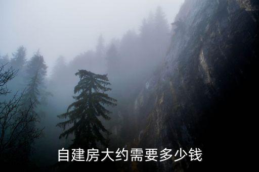 洛陽市蓋房需要多少錢,自建房大約需要多少錢