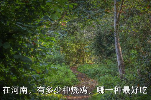 外地名吃在河南一共有多少家,河南各地的名吃分別是什么