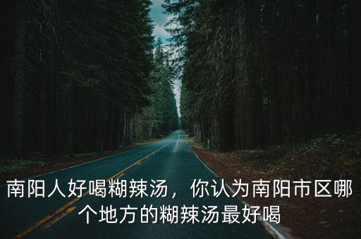 南陽哪里羊肉湯好喝,南陽人好喝糊辣湯