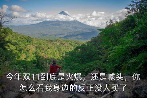 今年雙11到底是火爆，還是噱頭，你怎么看我身邊的反正沒人買了