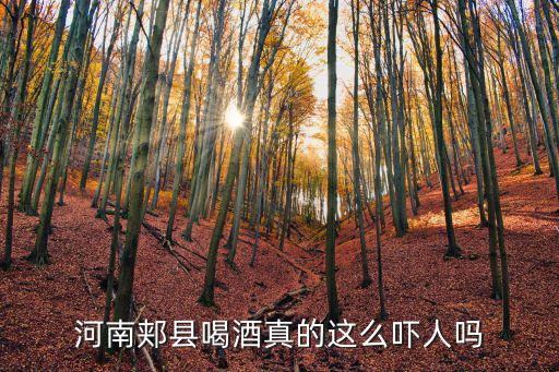 河南郟縣喝酒真的這么嚇人嗎