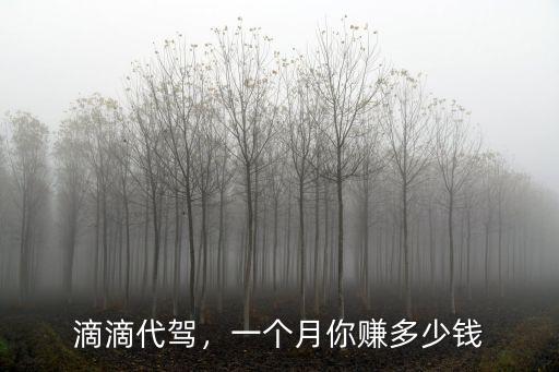 滴滴代駕，一個(gè)月你賺多少錢