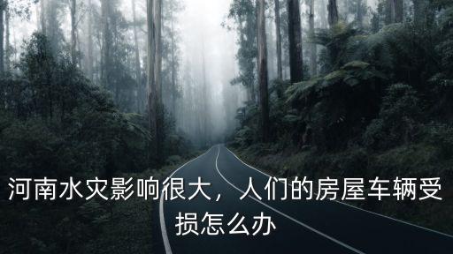 河南水災(zāi)車輛損失多少億,河南水災(zāi)影響很大