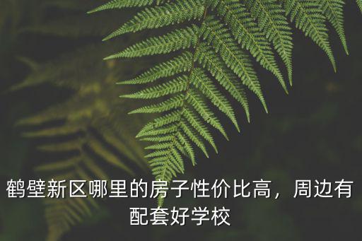 鶴壁新區哪里有租房的,鶴壁新區哪里的房子性價比高