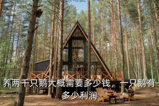 平頂山商品鵝蛋多少錢一只,一只鵝有多少利潤