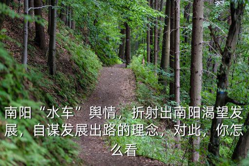 南陽“水車”輿情，折射出南陽渴望發(fā)展，自謀發(fā)展出路的理念，對此，你怎么看