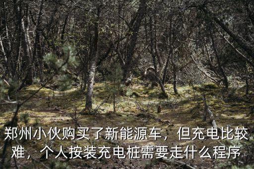 鄭州小伙購買了新能源車，但充電比較難，個(gè)人按裝充電樁需要走什么程序