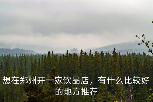 想在鄭州開一家飲品店，有什么比較好的地方推薦