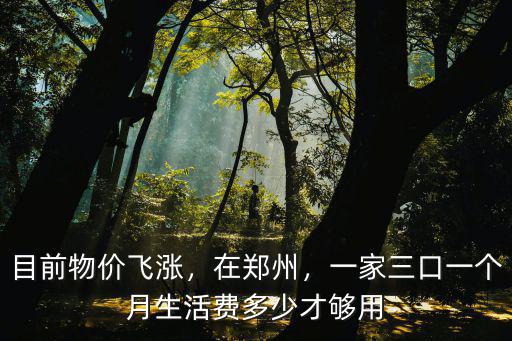 目前物價飛漲，在鄭州，一家三口一個月生活費多少才夠用