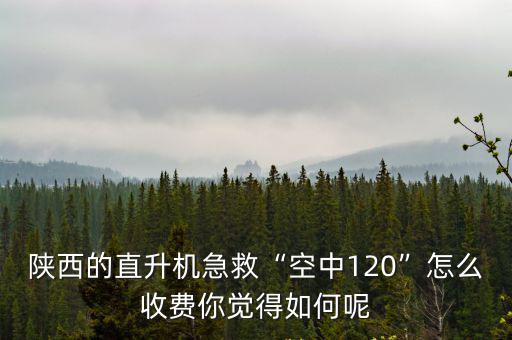 陜西的直升機急救“空中120”怎么收費你覺得如何呢