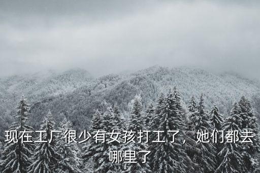 現在工廠很少有女孩打工了，她們都去哪里了