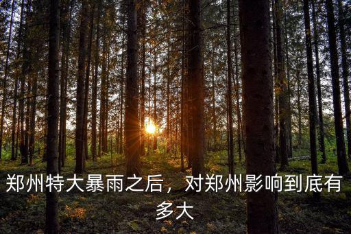 鄭州特大暴雨之后，對鄭州影響到底有多大