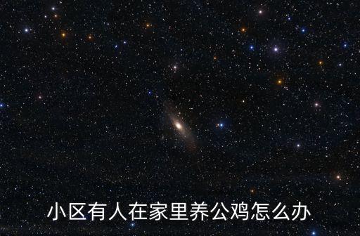 小區有人在家里養公雞怎么辦
