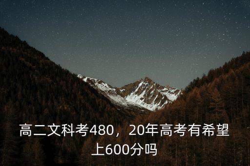 高二文科考480，20年高考有希望上600分嗎
