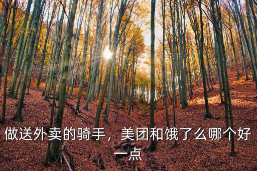 做送外賣的騎手，美團和餓了么哪個好一點