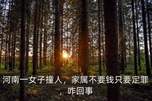 河南一女子撞人，家屬不要錢只要定罪，咋回事