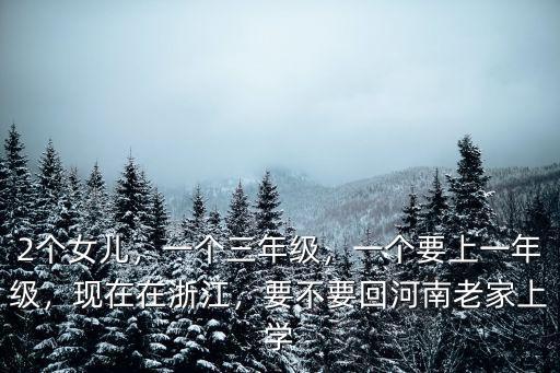 2個女兒，一個三年級，一個要上一年級，現在在浙江，要不要回河南老家上學