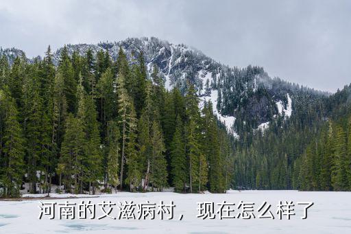河南的艾滋病村，現在怎么樣了