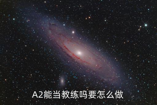 A2能當教練嗎要怎么做