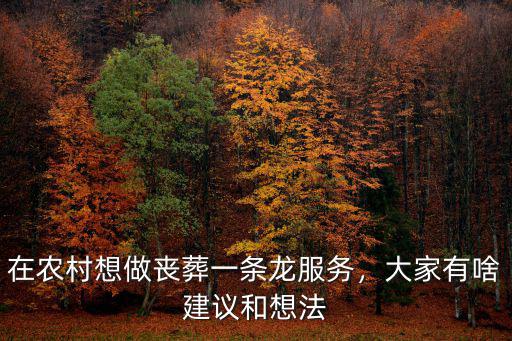在農村想做喪葬一條龍服務，大家有啥建議和想法