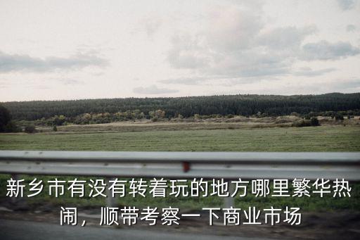 新鄉市有沒有轉著玩的地方哪里繁華熱鬧，順帶考察一下商業市場