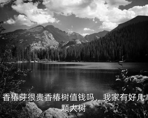 香椿芽很貴香椿樹值錢嗎，我家有好幾顆大樹