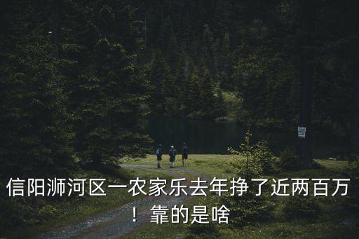 信陽(yáng)浉河區(qū)一農(nóng)家樂(lè)去年掙了近兩百萬(wàn)！靠的是啥