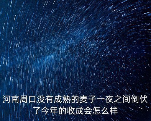 河南周口沒有成熟的麥子一夜之間倒伏了今年的收成會怎么樣
