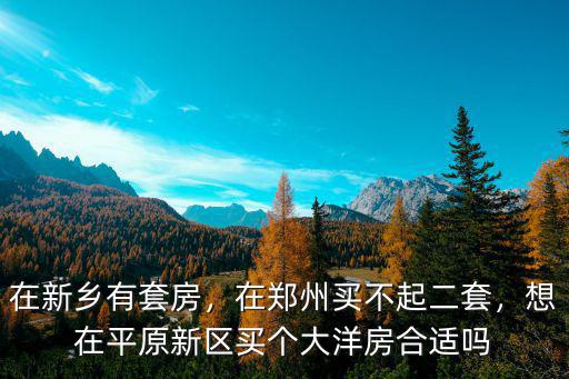 鄭州平原新區(qū)買房均價(jià)是多少,對于新鄉(xiāng)市平原新區(qū)的房子