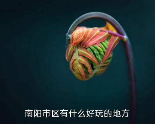 南陽市區有什么好玩的地方