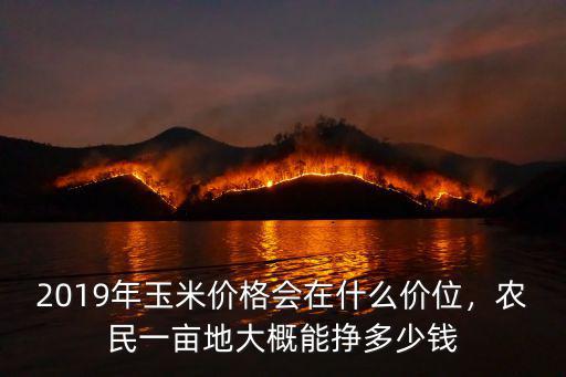 河南包地能賺多少錢,一年究竟能賺多少錢
