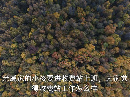 親戚家的小孩要進(jìn)收費(fèi)站上班，大家覺(jué)得收費(fèi)站工作怎么樣