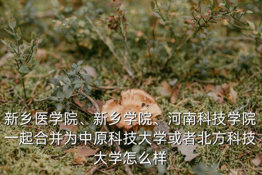 新鄉醫學院、新鄉學院、河南科技學院一起合并為中原科技大學或者北方科技大學怎么樣